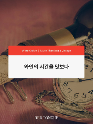 250519_와인의 시간을 맛보다