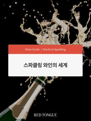 250623_스파클링 와인의 세계
